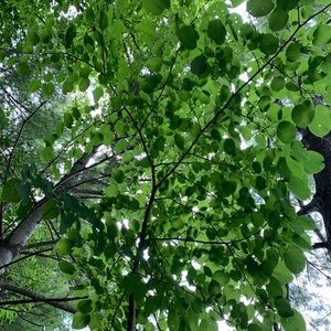 Meet your Posher, Jaclyn